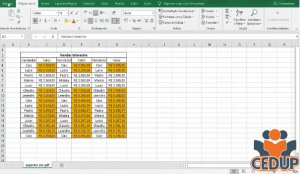 Tela do Excel - exemplo de planilha